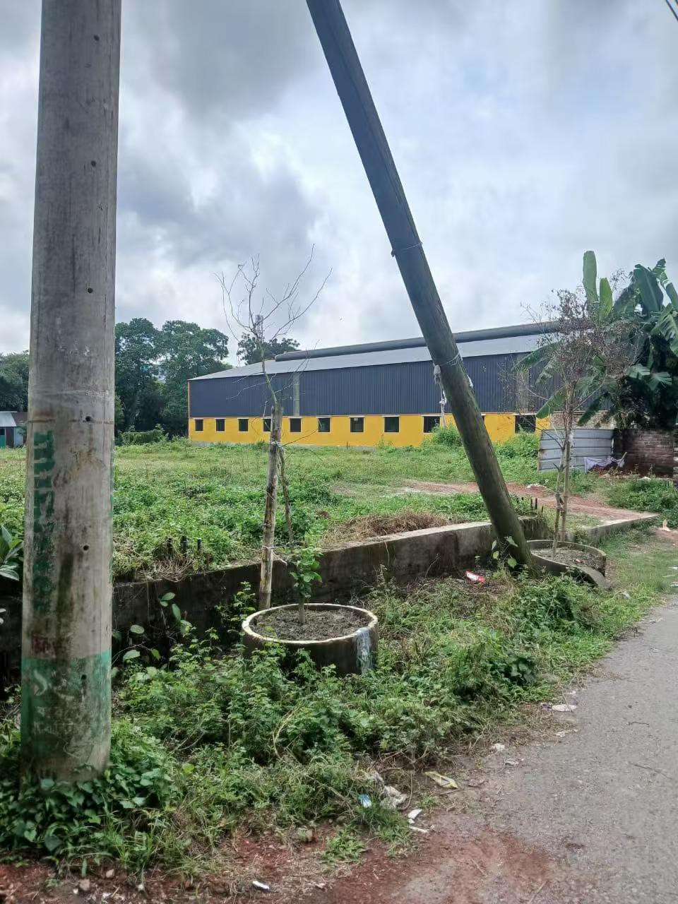 Ready shed for factory